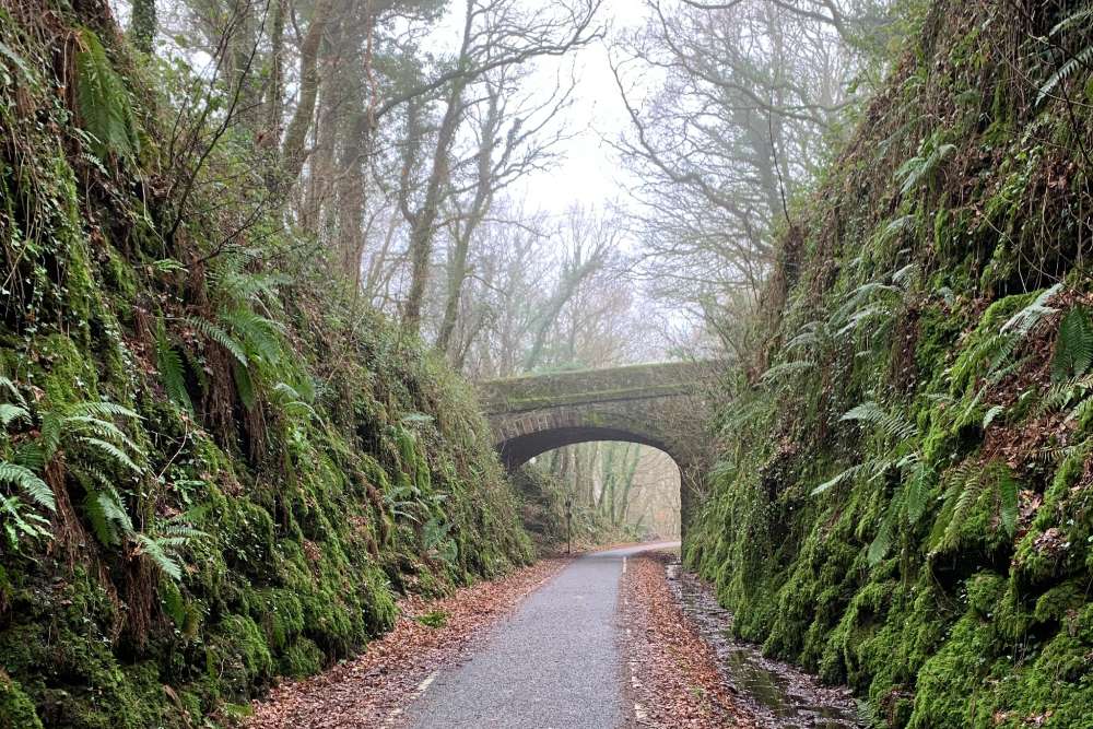 A mossy and leafy road leading to a old stone bridge