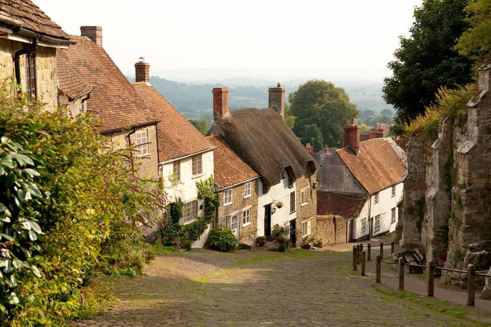 Some traditional thatched houses in a village