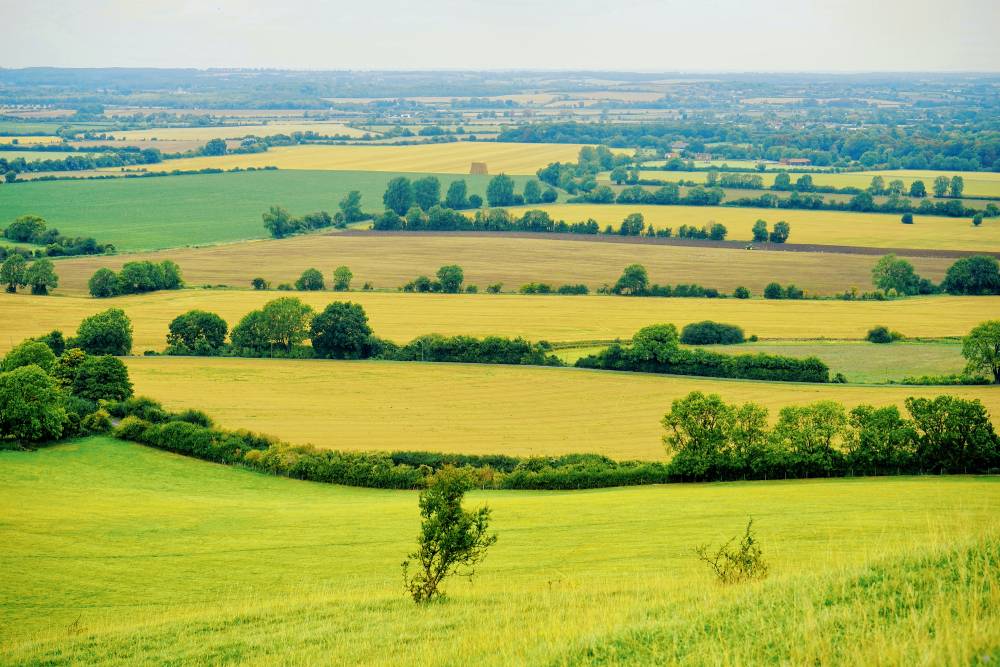 Rolling hills and neat fields, a traditional picture of Britain