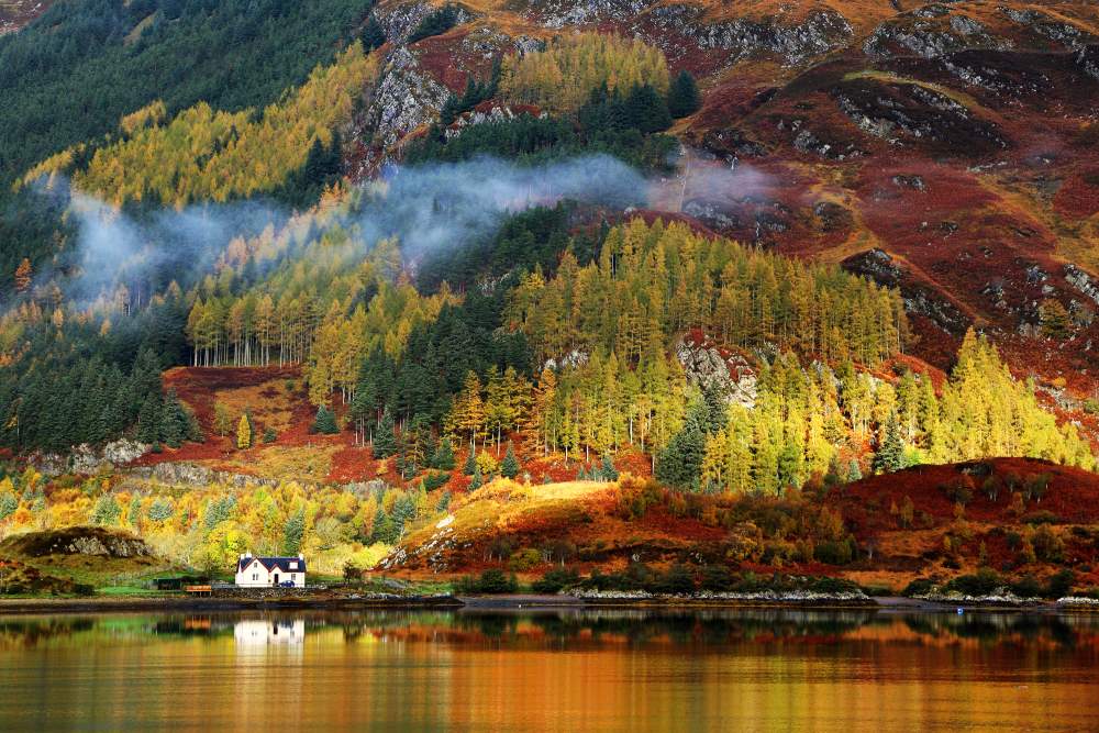 Vibrant colours by a Scottish loch
